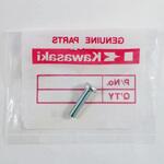 220AA0520 (I/X)ナベコネジ(+ジアナ) 5X20 220AA0520 Kawasaki