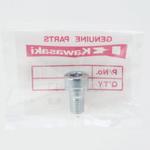 92002-1713 ボルト ソケット 10X17 92002-1713 Kawasaki