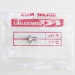 92172-0262 スクリュー タッピング 5X10 92172-0262 Kawasaki