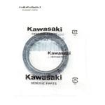 シングル&アルバム セット 92049-0073 シール(オイル) 92049-0073 1個 Kawasaki 【通販