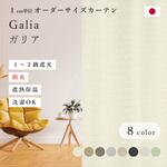 【オーダー】ドレープカーテン 「ガリア」 無地 1～2級遮光 防炎 全8色 タッセル付き ノイエ
