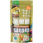 菌根菌 プラス1シリーズ 自然応用科学