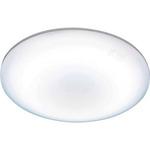 LC-A063D LEDシーリングライト 6畳用 1台 YAMAZEN(山善) 【通販