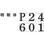 GNR-32M/H ページナンバースタンプ 2号 明朝体 シヤチハタ