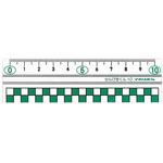 センビキクン10G ひっさん定規10cm 西敬(イカリボシ)
