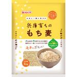 兵庫育ちのもち麦5kg マルヤナギ