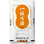 【袋のみ】 エコポ 一粒万倍 アサヒパック
