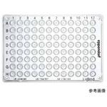 ツインテクPCRプレート96 Lobind Eppendorf(エッペンドルフ)
