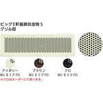ビッグⅡ軒裏換気金物S カナイ