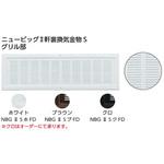 ニュービッグⅡ軒裏換気金物S カナイ