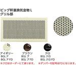 ビッグ軒裏換気金物L カナイ