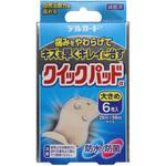 デルガードクイックパッド 阿蘇製薬
