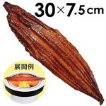 RD8-0269 食品サンプル うなぎ蒲焼き アルファ(販促)