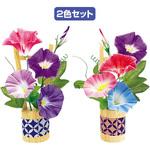 TE2-0414 清涼朝顔スタンドセット(2個1セット) アルファ(販促)