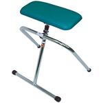 姿勢補助手すり 楽助さん イデアライフケア