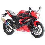 エキゾースト(マフラー)Ninja250SL モリワキエンジニアリング
