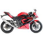 エキゾースト(マフラー)Ninja250SL モリワキエンジニアリング