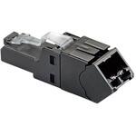 CPUDCAPBL-X かんたん成端モジュラープラグ用ワイヤーキャップ ワイヤーキャップのみ PANDUIT(パンドウイット)