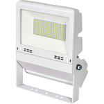 LED投光器 常設用フラットライト50W 日動工業