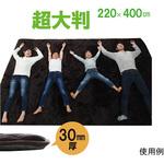 1161710066513 ラグ こたつ敷き布団 長方形 大きい 幅広ラグ ブラウン 約220×400cm アズワン