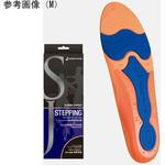ソルボジャパン ステッピング 三進興産