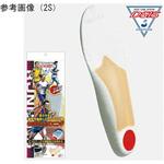 DSISソルボランニング 三進興産