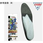 DSISソルボサッカー 三進興産