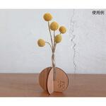 SiTATE121X 木製 試験管立て 組立タイプ リカシツ