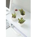 642KU-009 人工植物 多肉植物3種セット アートクリエイション