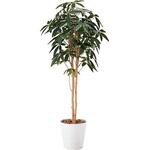 人工植物 パキラツリー 高さ1600 642KU-012シリーズ アートクリエイション