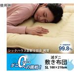 敷き布団 滅ダニ アズワン