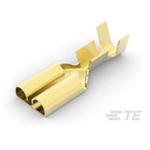 ファストンリセプタクル端子250 TE Connectivity Japan(旧:TYCOELECTRONICS(タイコエレクトロニクス))