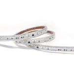 LEDベルトライト スズデン販売