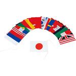 テトロン万国旗20S(連結済) トーエイライト