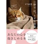 45412 一秒でほっとする言葉 永岡書店