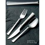 18-8 シンフォニー フィッシュソーススプーン EBM(江部松商事)