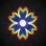 ホロスペックスフィルム 花 ナリカ