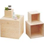 5面体ディスプレイBOX(無塗装) ハヤノ産業