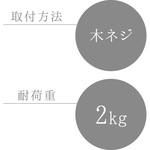 タオル掛け(木ネジ) LEC(レック)