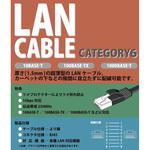 LANケーブル ブロードウォッチ