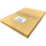 レーザーピーチリサイクル 大王製紙