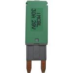 JTCIMCBL30A ブレーカーヒューズ JTC
