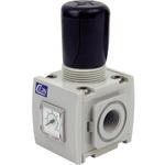 19-503-1202 レギュレーター 651型 CEJN(セイン)