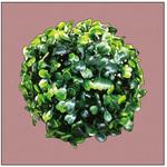 キャンバス Plant P・O・Pプロダクツ