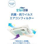 空気の王様 抗菌・抗ウイルスエアコンフィルター Bulls(ブルズ)