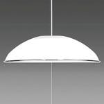 ペンダントライト洋風LEDタイプ8畳用 タキズミ(TAKIZUMI) 【通販