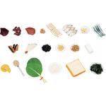 49-A 鉄分を多く含む食品モデル(20品) イワイサンプル