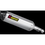 [e1仕様] スリップオンマフラー(S/O) チタン (カーボンエンドサイレンサー) AKRAPOVIC (アクラポビッチ)