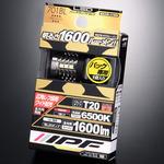 LED バック球 IPF