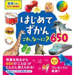 43643 はじめてずかん これ、な～に?650 永岡書店